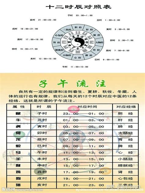 天干地支時間|间天干地支十二小时与十二时辰对于时间对照表